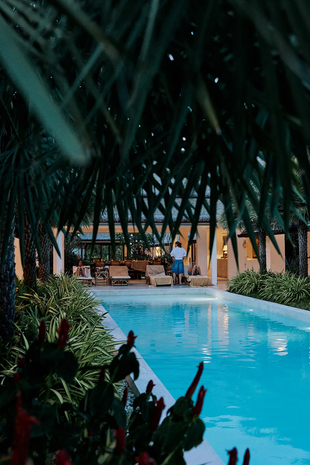 The pool glowing turquoise through the palm trees