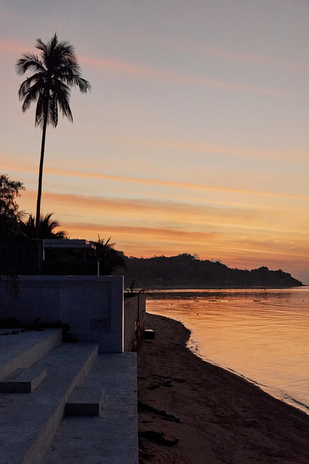 A palm silhouetted against an orange sunset over the beach