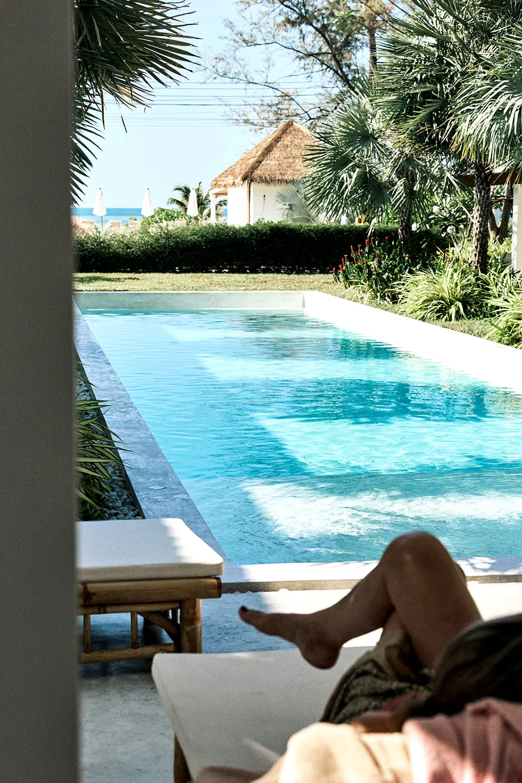 The lap pool and tropical garden seen from a shaded terrace