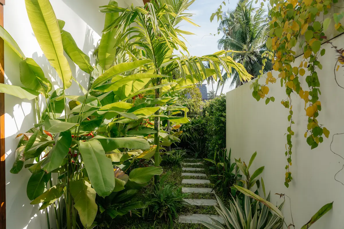 Private tropical garden with stepping stones, banana palms, and trailing vines between bathroom walls at Villa Aditi, Koh Samui