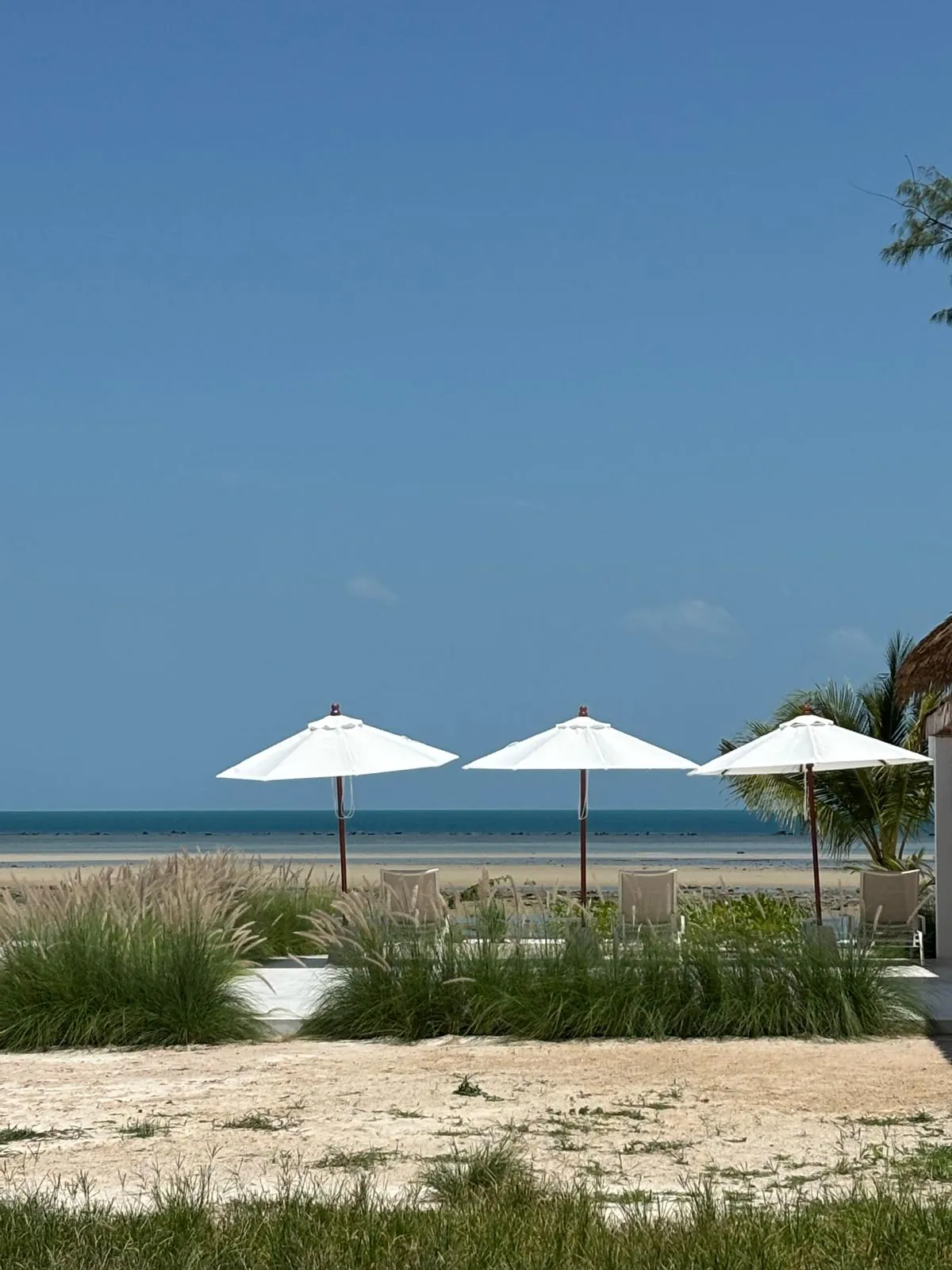 White beach parasols overlooking Bang Kao Beach and the Gulf of Thailand at Villa Aditi, Koh Samui