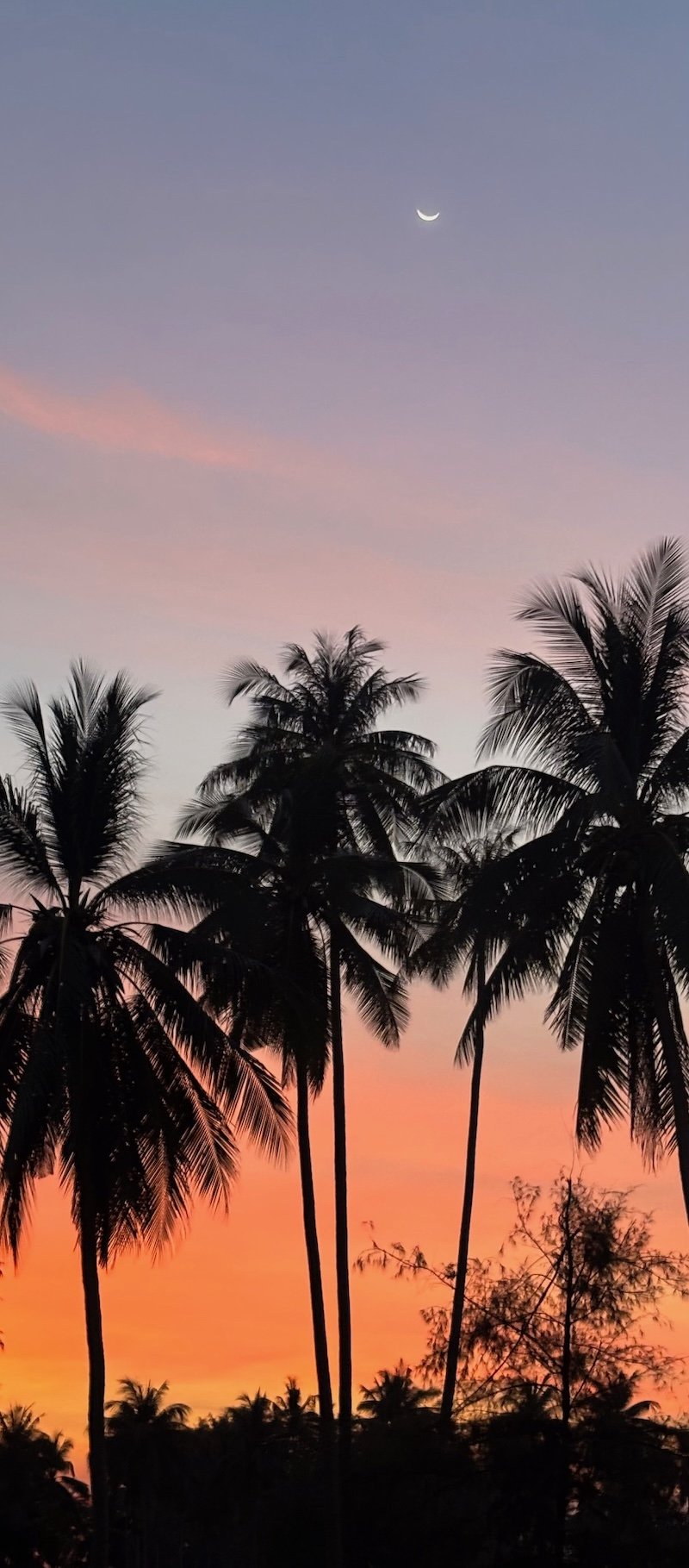 Sunset sky with palm trees at Villa Aditi