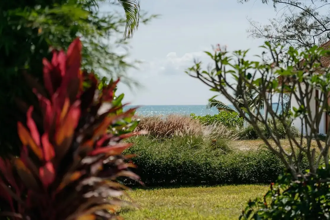 Tropical garden with sea view framed by red cordyline and ornamental grasses at Villa Aditi, Koh Samui